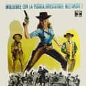 Jane Fonda, Nat King Cole, Lee Marvin   Cat Ballou is a 1965 comedy Western film, the story of a woman who hires a notorious gunman to protect her father's ranch, but finds that the gunman is not what she expected.