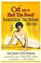 Cat on a Hot Tin Roof on Random Great Movies About Depressing Couples