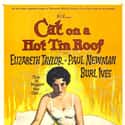 Cat on a Hot Tin Roof on Random Great Movies About Depressing Couples