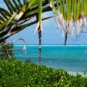 Cayman Islands on Random Best Caribbean Countries to Visit