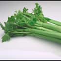 Celery on Random Best Things to Put in a Salad