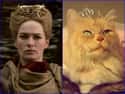 Cersei Lannister on Random Cats Who Look Like GoT Characters