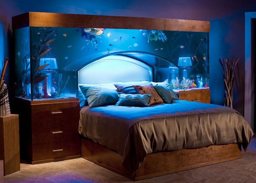 Celebrities with Fish Tanks | Famous People Who Have Aquariums