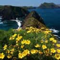 Channel Islands National Park on Random Best National Parks in the USA