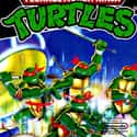 Teenage Mutant Ninja Turtles on Random Single NES Game