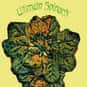 Ultimate Spinach is listed (or ranked) 36 on the list Bands/Artists With Only One Great Album