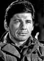 Charles Bronson on Random Celebrities Who Served In The Military