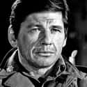 Charles Bronson on Random Celebrities Who Served In The Military