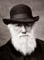 Charles Darwin on Random Shocking Historical Cases of Incest
