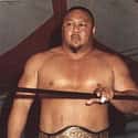 Professor Tanaka on Random Best Tag Teams in WCW History