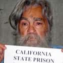 Charles Manson on Random Real-Life Crimes You Should Never, Ever Google Image Search