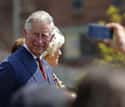 Charles, Prince of Wales on Random Famous Person Who Has Tested Positive For COVID-19