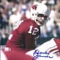 Charley Johnson is listed (or ranked) 10 on the list The Best Arizona Cardinals Quarterbacks of All Time