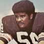 Charlie Hall is listed (or ranked) 15 on the list The Best Cleveland Browns Linebackers of All Time