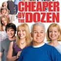 Cheaper by the Dozen on Random Funniest Movies About Parenting