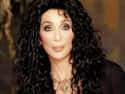 Cher on Random Dreamcasting Celebrities We Want To See On The Masked Singer