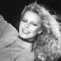 Cheryl Ladd on Random Big-Name Celebs Have Been Hiding Their Real Names