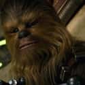 Chewbacca on Random Fictional Characters Whose Ages You Were Totally Wrong About