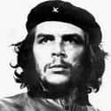 Dec. at 39 (1928-1967)   Ernesto "Che" Guevara, commonly known as el Che or simply Che, was an Argentine Marxist revolutionary, physician, author, guerrilla leader, diplomat, and military theorist.