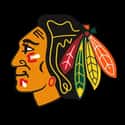 Chicago Blackhawks on Random Best NHL Teams