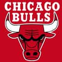 Chicago Bulls is listed (or ranked) 28 on the list Who Will Be The 2019 NBA Champions?