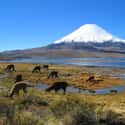 Chile on Random Best Countries to Travel To