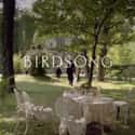 Birdsong on Random Movies If You Love 'Band of Brothers'