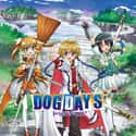 Dog Days on Random Greatest Harem Anime