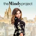 The Mindy Project on Random TV Shows Canceled Before Their Time