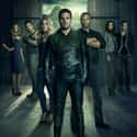 Arrow on Random Best Action TV Shows