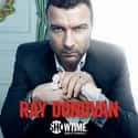 Liev Schreiber, Paula Malcomson, Eddie Marsan   Ray Donovan is an American television drama series created by Ann Biderman for Showtime.