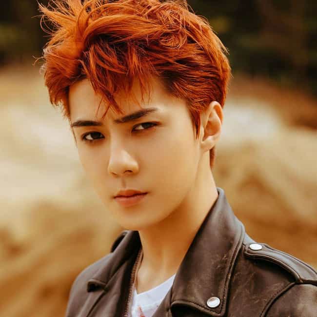 The 25 Kpop Boy Group Idols With The Best Visuals Ranked By Fans