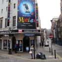 Tim Minchin, Dennis Kelly   Matilda the Musical is a stage musical based on the children's novel of the same name by Roald Dahl. It was written by Dennis Kelly, with music and lyrics by Tim Minchin.