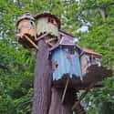 Tree House on Random Best Places to Hide During the Zombie Apocalypse