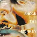 Shock the Monkey on Random Best 1980s Music Videos