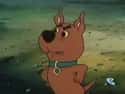 Scrappy Doo on Random Regrettable Characters Who Nearly Ruined Good TV Shows