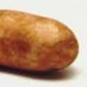 Russet Potato on Random Best Foods to Throw on BBQ