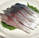 Mackerel on Random Best Fish for Sushi