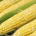 Corn on Random Best Things to Put in Ramen