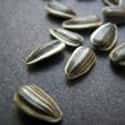 Sunflower Seeds on Random Best Things to Put in a Salad