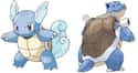 Wartortle on Random Pokemon Whose Middle Evolutions Are Cooler Than Their Final Forms