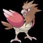 Spearow is listed (or ranked) 21 on the list Complete List of All Pokemon Characters