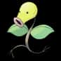 Bellsprout is listed (or ranked) 70 on the list Complete List of All Pokemon Characters