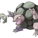Graveler on Random Pokemon Whose Middle Evolutions Are Cooler Than Their Final Forms