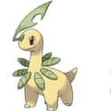 Bayleef on Random Pokemon Whose Middle Evolutions Are Cooler Than Their Final Forms