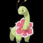 Meganium is listed (or ranked) 154 on the list Complete List of All Pokemon Characters