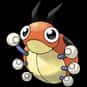 Ledyba is listed (or ranked) 165 on the list Complete List of All Pokemon Characters