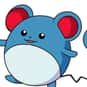 Marill is listed (or ranked) 183 on the list Complete List of All Pokemon Characters