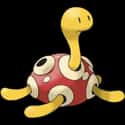 Shuckle on Random Lazy Pokemon Designs That Weren't Even Trying