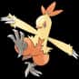 Combusken is listed (or ranked) 256 on the list Complete List of All Pokemon Characters